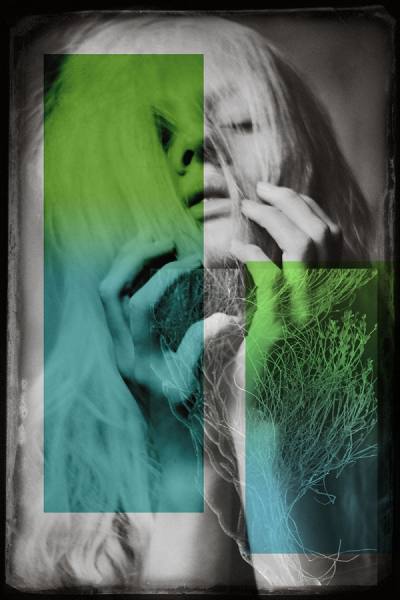 Photograph Gerhard Merzeder Art Collage on One Eyeland